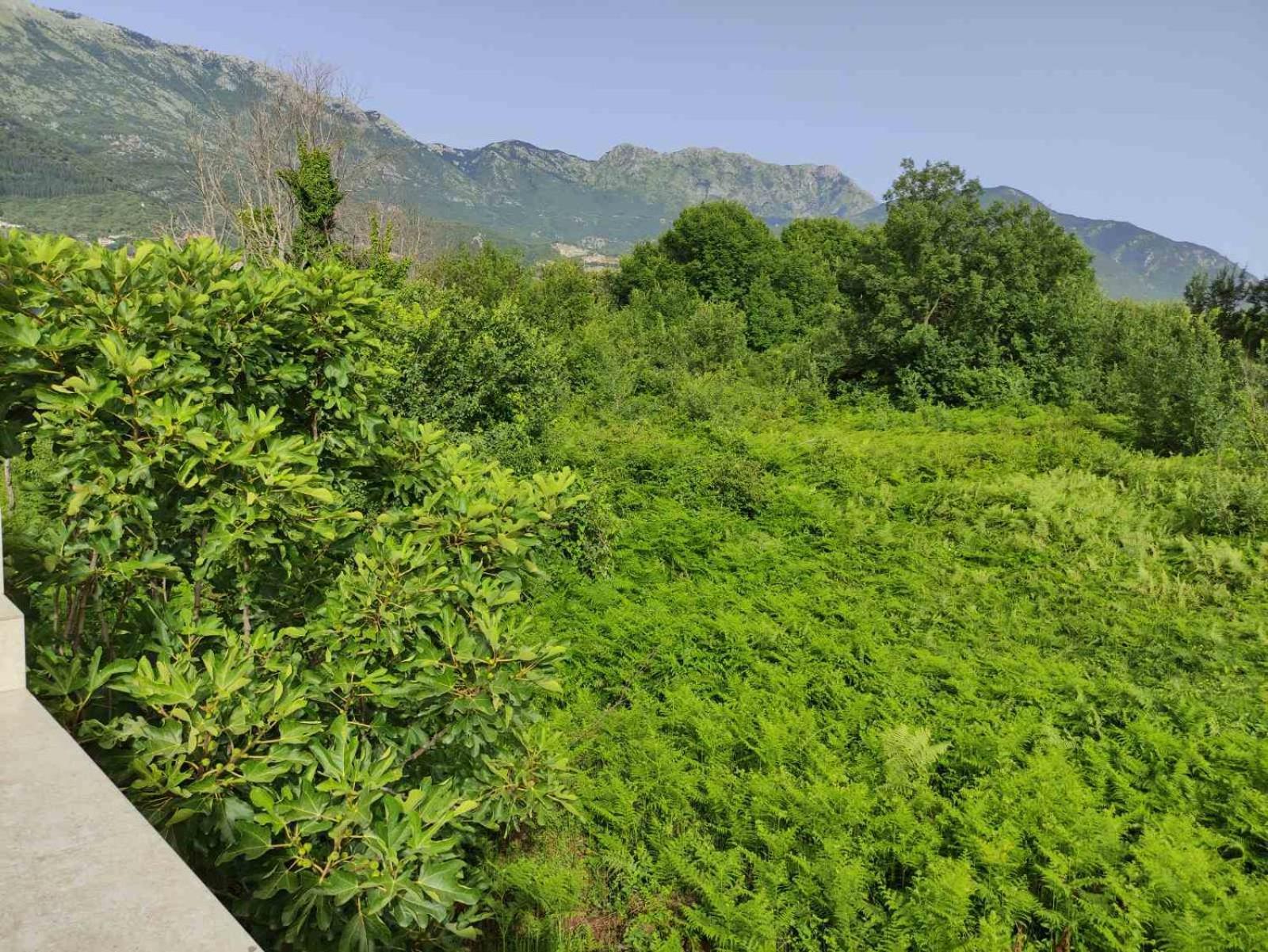 Green Valley Kotor Exterior foto