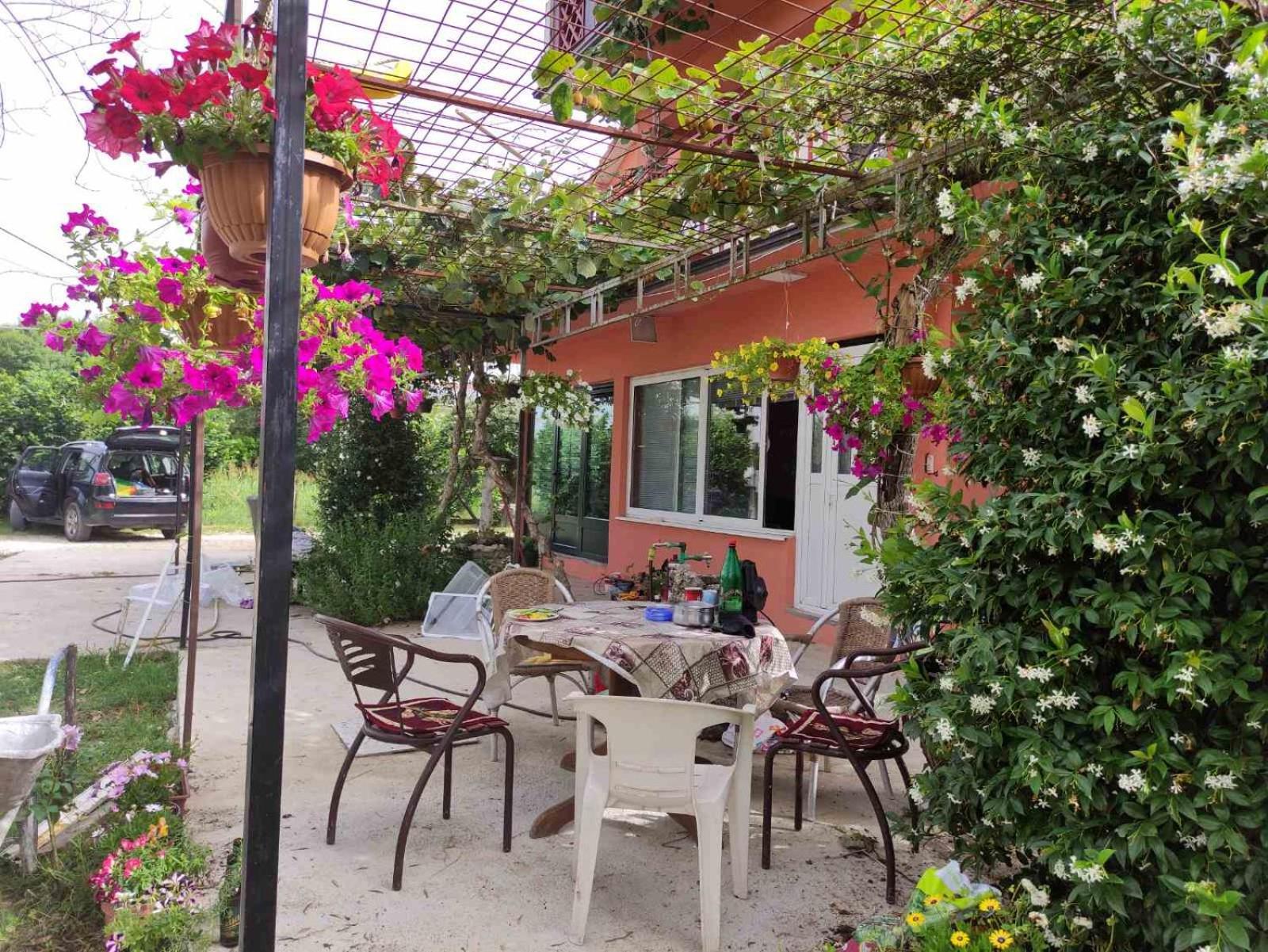 Green Valley Kotor Exterior foto